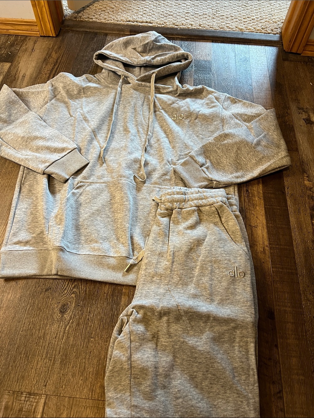 ALO Yoga Light Gray Sweatshirt and Jogger Set